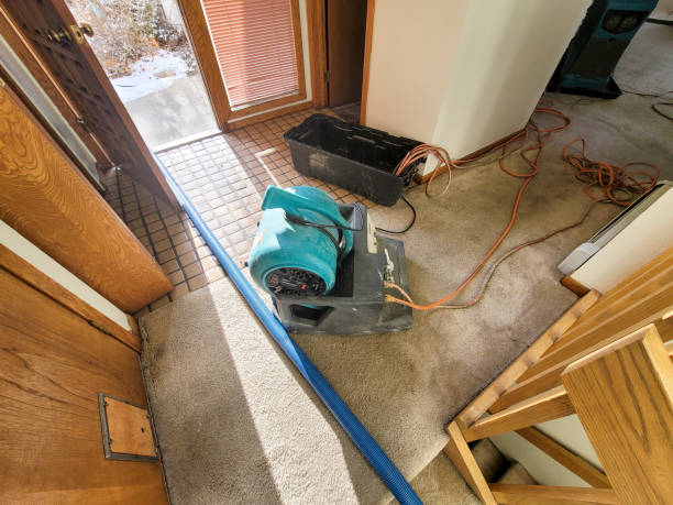 Best Carpet water damage restoration  in Belvidere, IL