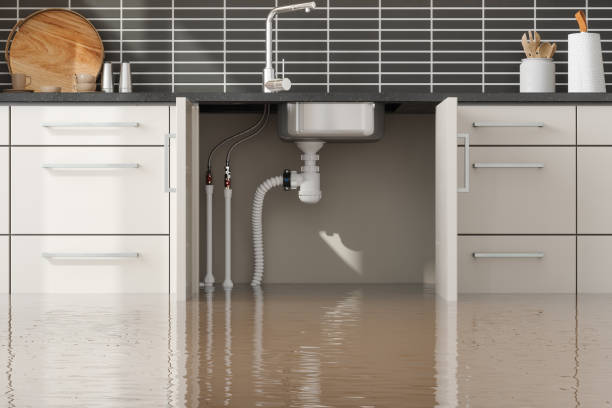  Belvidere, IL Water damage restoration Pros