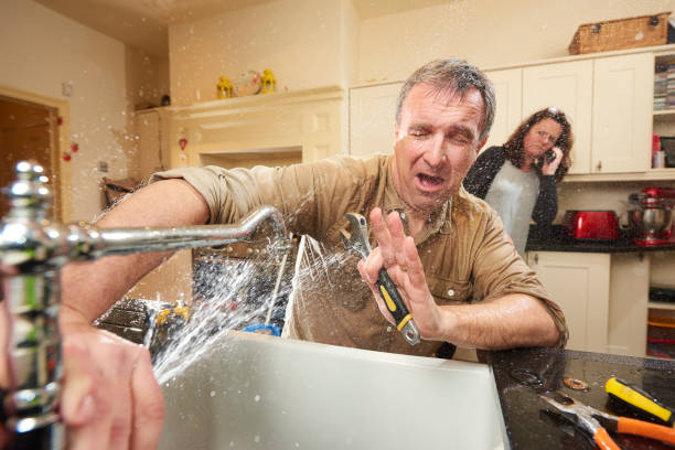 Best Fire Damage Restoration  in Belvidere, IL